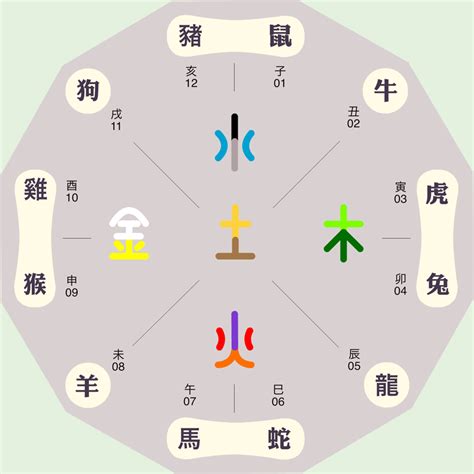 屬狗的五行|属狗的五行属性是什么？狗的五行性格解析